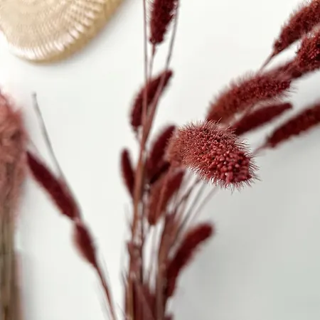 Le Viarm'elite דירה