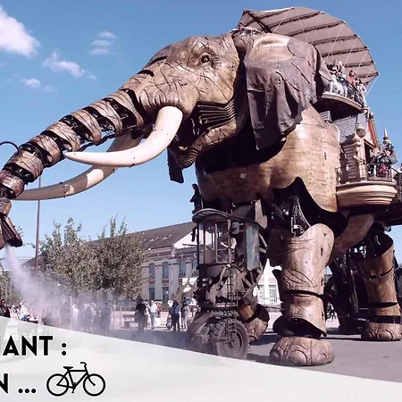 Le Viarm'elite דירה