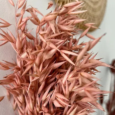 Le Viarm'elite Nantes