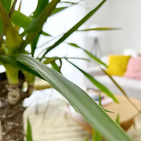 Apartman Le Viarm'elite Nantes