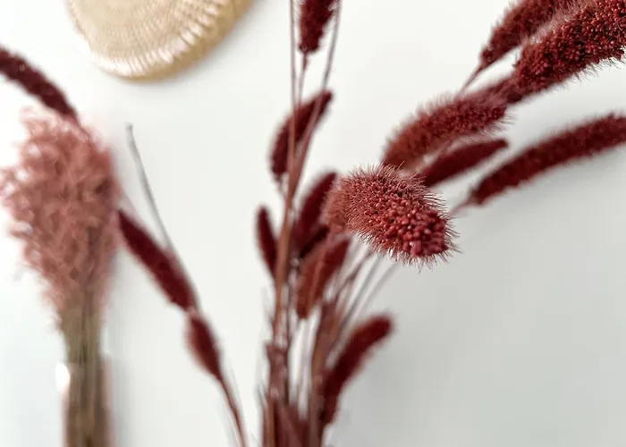 Le Viarm'elite Apartmán