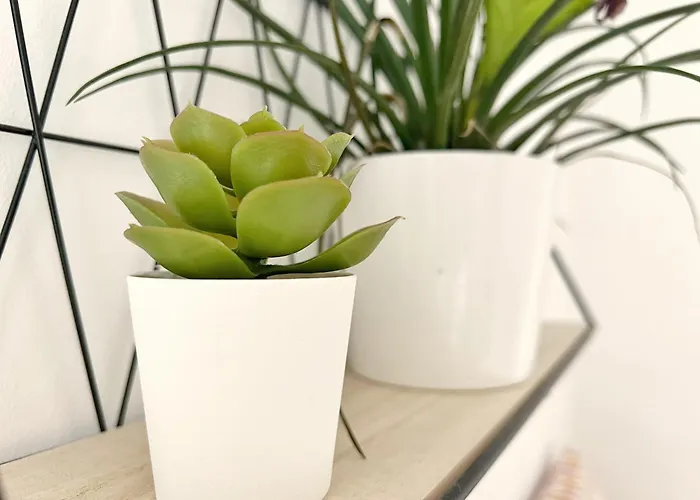 Le Viarm'elite Nantes