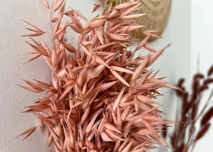 Le Viarm'elite Nantes