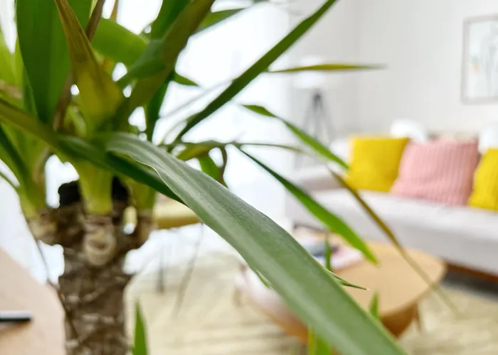 Apartmán Le Viarm'elite Nantes