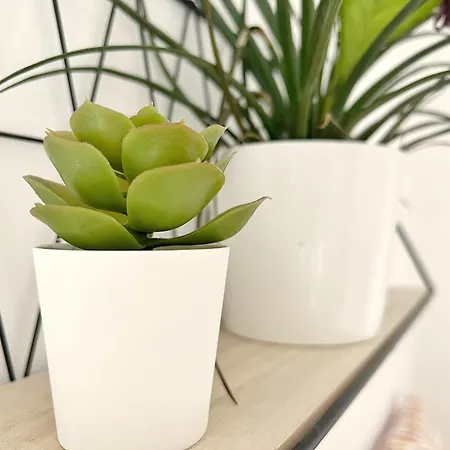 Le Viarm'élite Nantes